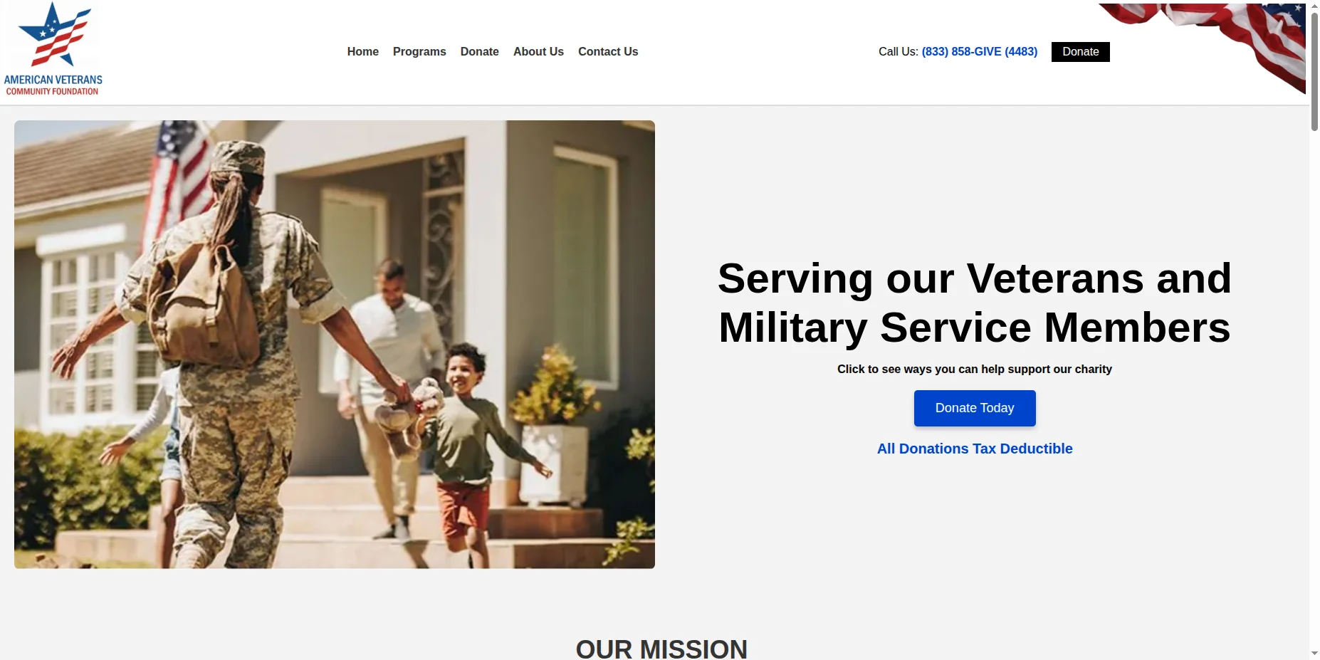 AVCFUSA - Make a Donation